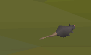 oh no